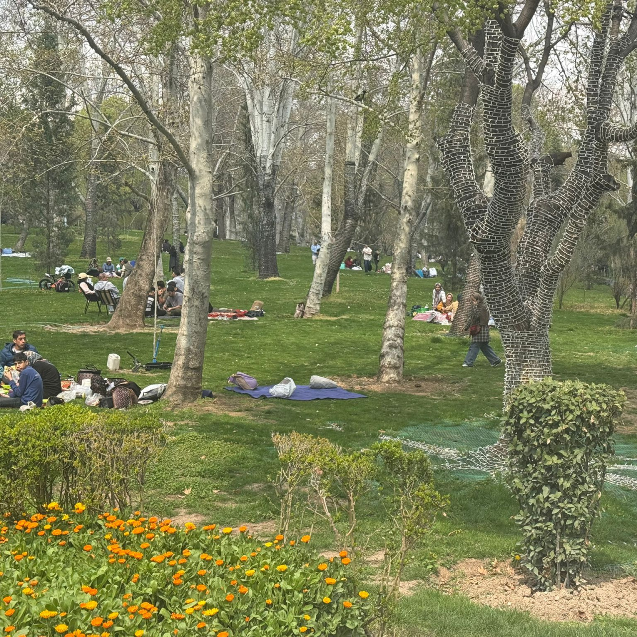 Tahran'da savaş var, halk piknikte