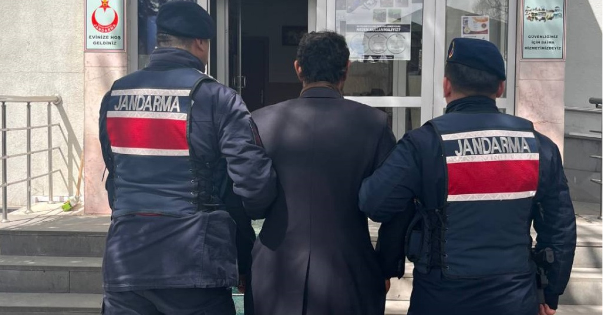 Köpeği ağaca asıp öldürdükten sonra tutuklandı