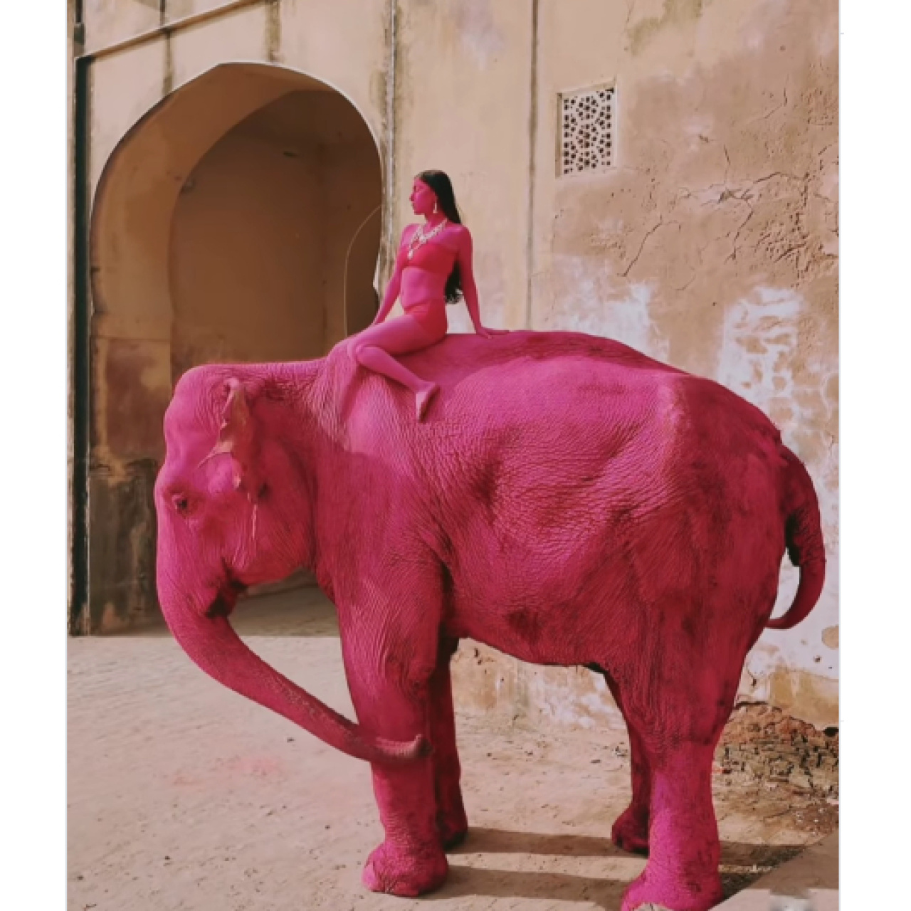 Fotoğraf için pembeye boyanan fil hayatını kaybetti