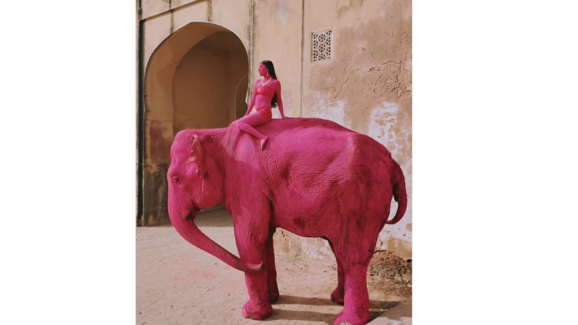 Fotoğraf için pembeye boyanan fil hayatını kaybetti