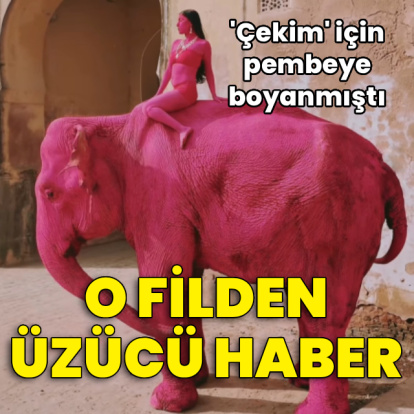 Fotoğraf için pembeye boyanan fil hayatını kaybetti