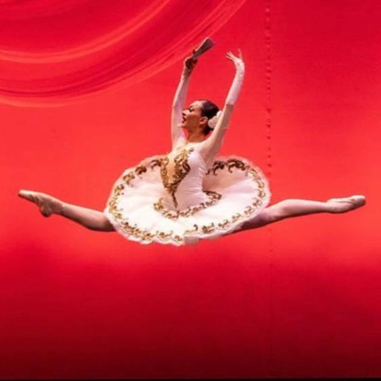 Klasik bale hip hop'la buluşuyor: SWANS