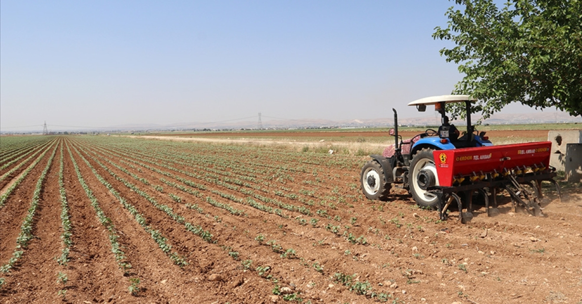 Ticaret Bakanlığı gübre vergilerini sıfırla