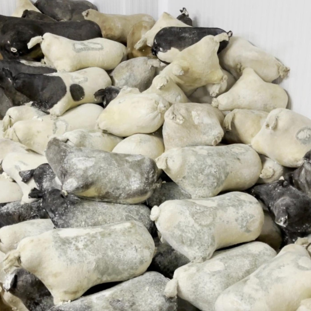 Erzincan'a özgü... Ark of Taste listesinde!