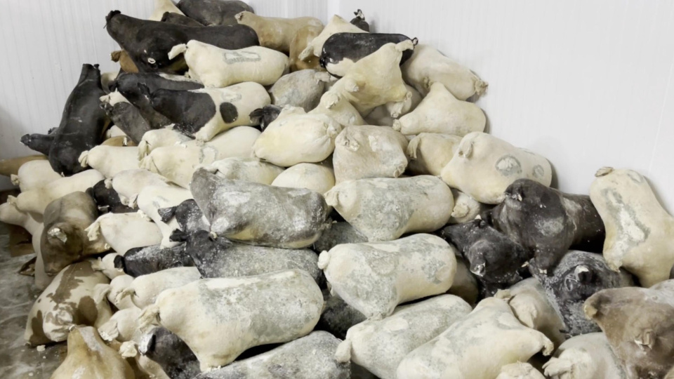 Erzincan'a özgü... Ark of Taste listesinde!