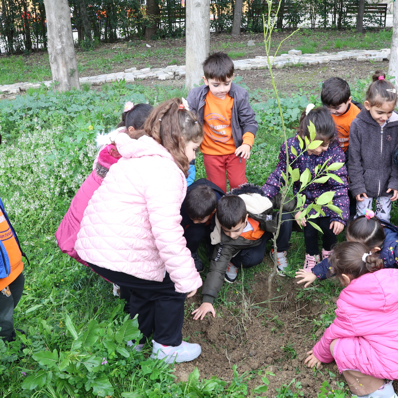 Hatay'da minikler okullarını ağaçlandırıyor