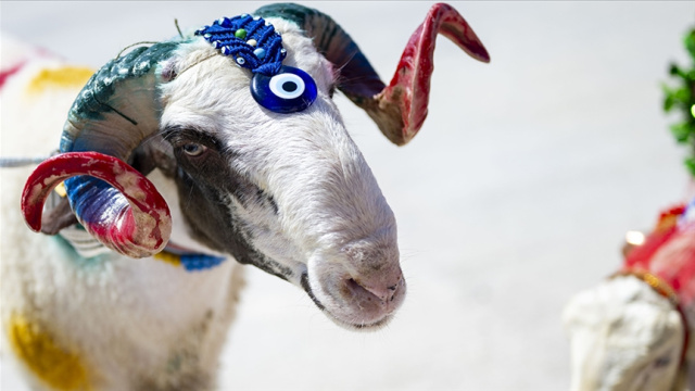 Kurban Bayramı tatili kaç gün olacak?