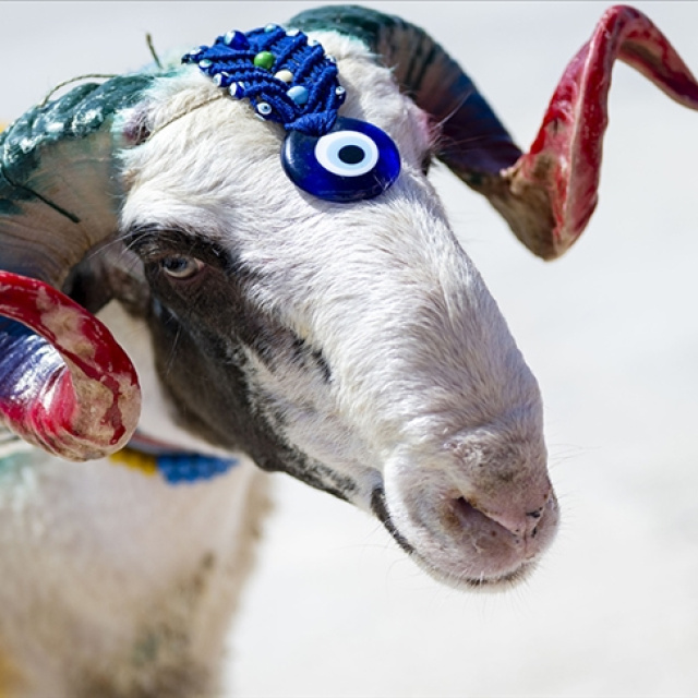 Kurban Bayramı tatili kaç gün olacak?