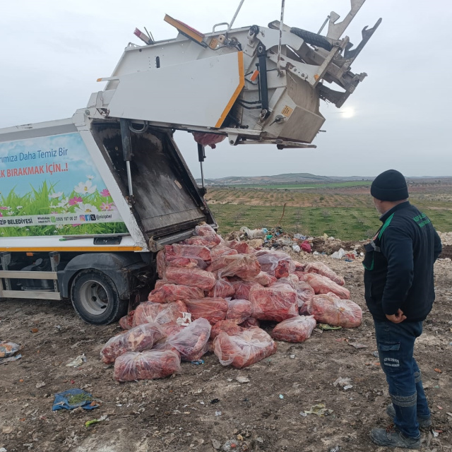 Nizip'te 1.6 ton sakatat imha edildi