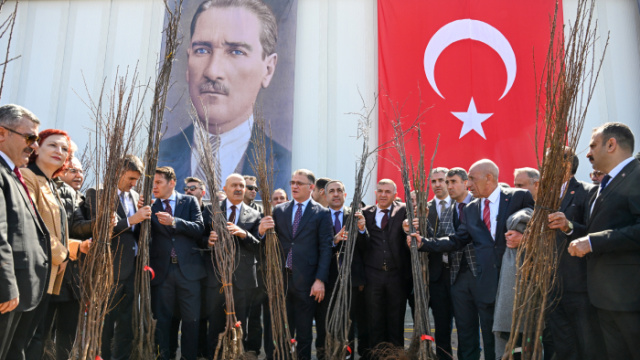 Van'da 4 yılda 4 milyon 552 bin meyve fidanı