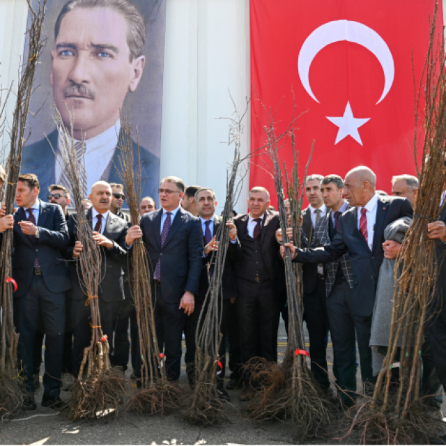 Van'da 4 yılda 4 milyon 552 bin meyve fidanı