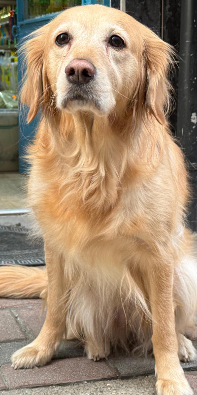 Hastalığı bulunamamıştı! Sevgiyle hayata bağlandı