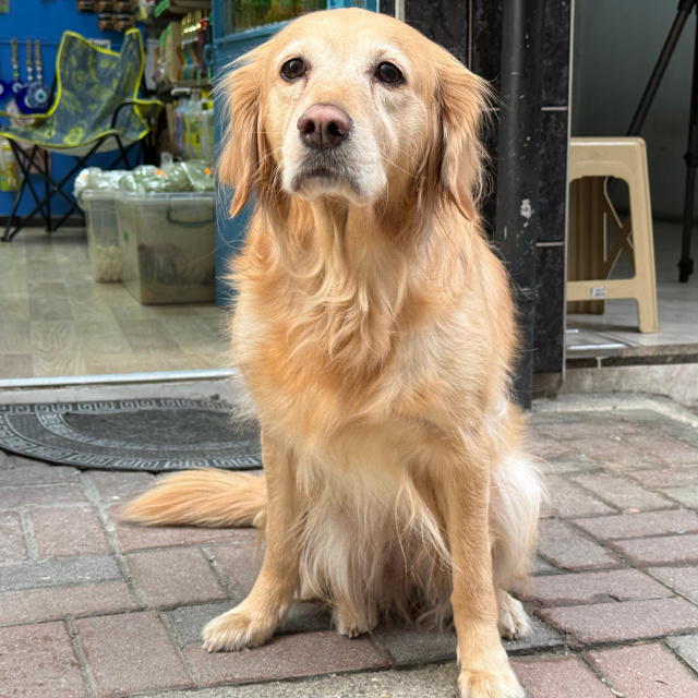 Hastalığı bulunamamıştı! Sevgiyle hayata bağlandı