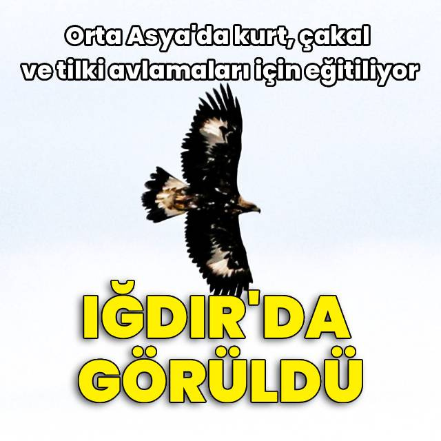 320 km'ye çıkıyor... Iğdır'da görüntülendi