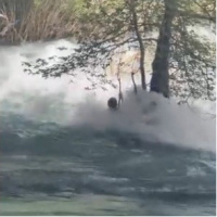 Berdan Çayı'nda akıntıya kapıldı, kayboldu! Feci görüntü!