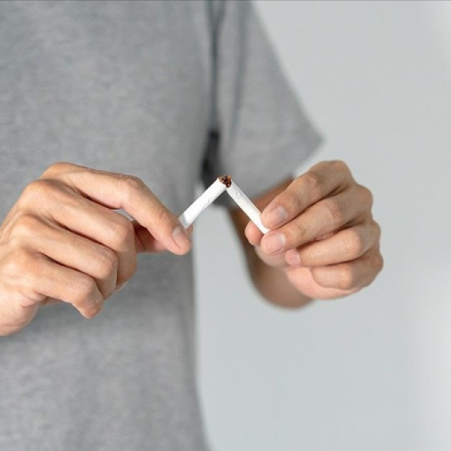 Zamlı sigara fiyat listesi