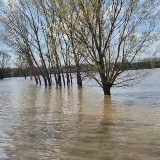 Meriç taştı, sular yollara ulaştı