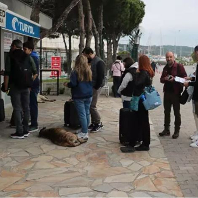 Türkler, Yunan adalarına akın etti