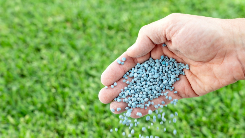 Gübretaş'ın İran'daki üretimi durdu
