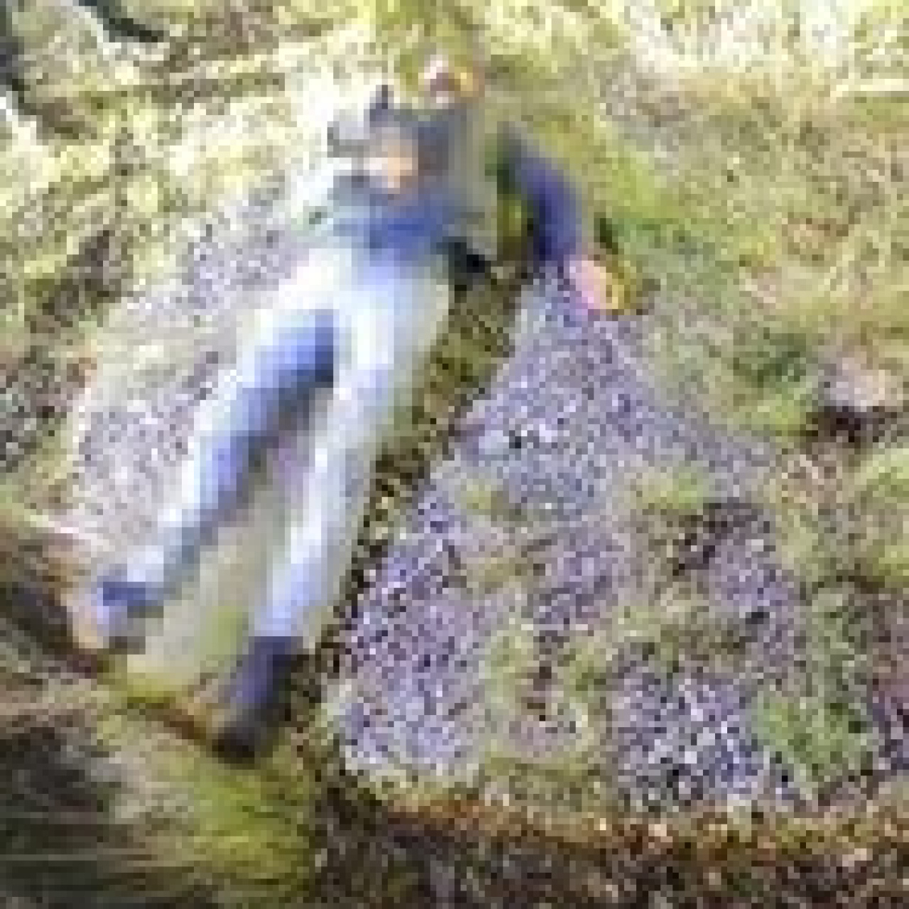 İstinat duvarından düşerek can verdi