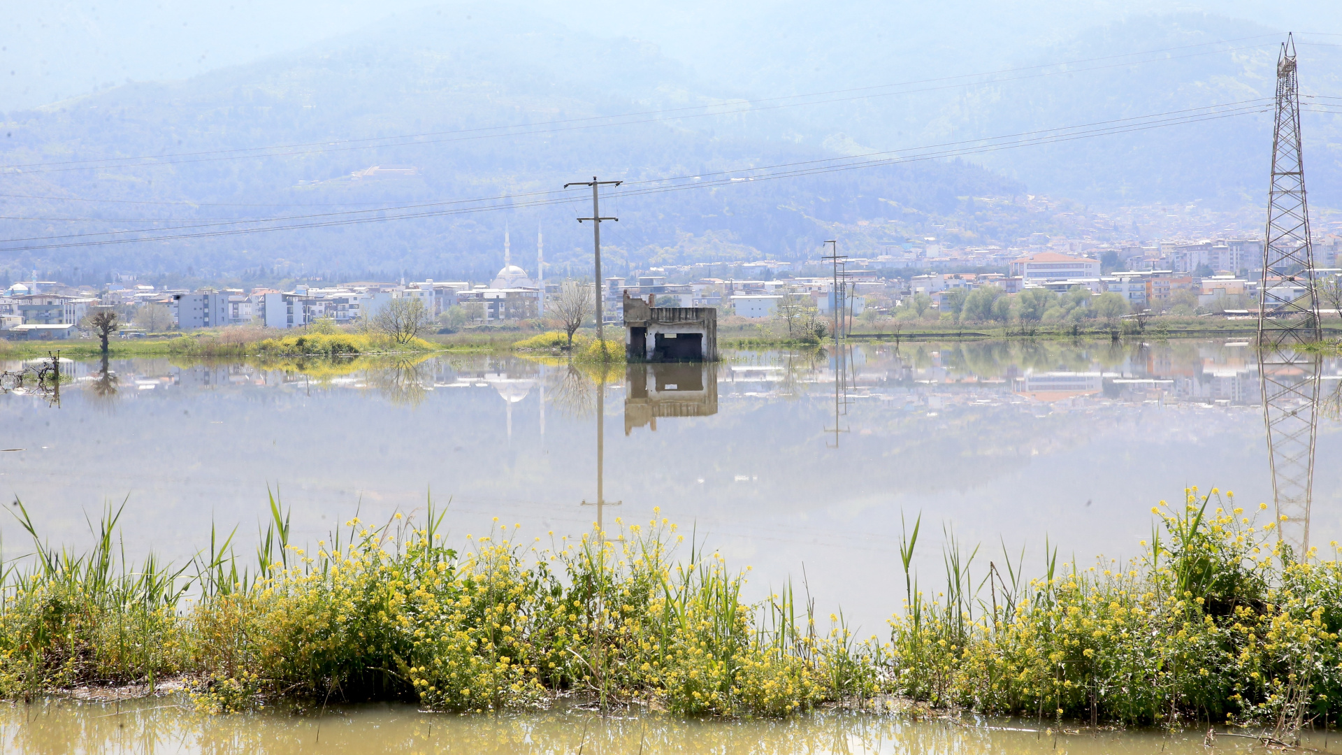 Manisa'da Gediz Nehri Taştı: Bağ Evleri ve Tarım Arazileri Sular Altında Kaldı