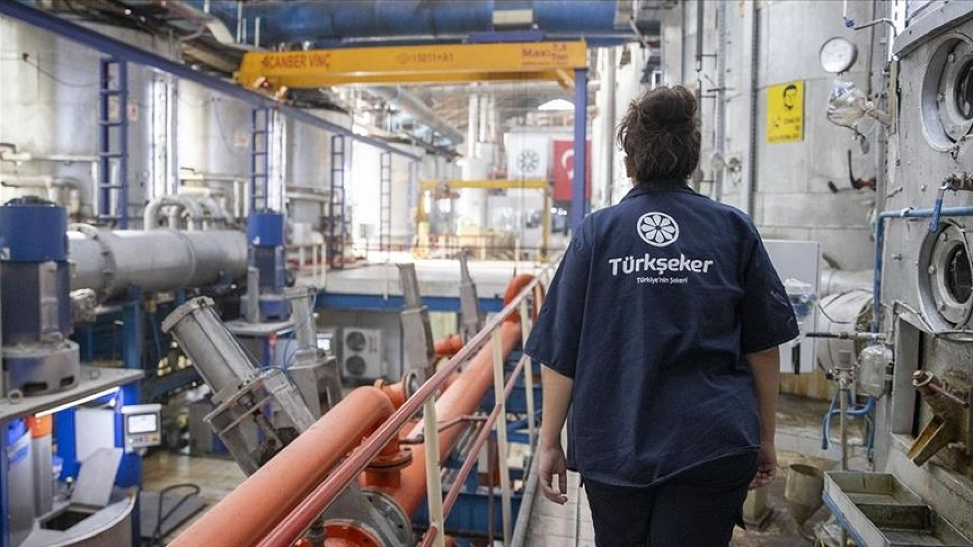 Türkşeker 525 Geçici İşçi Alımı Başvuruları Başladı: Şartlar ve Kadro Dağılımı