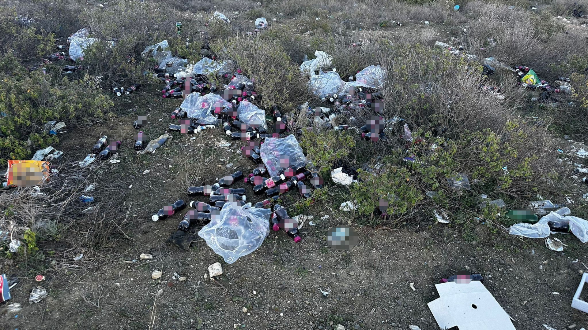 Bilecik'te Tarihi Geçmiş Yüzlerce Şalgam Suyu Şişesi Ormana Atıldı