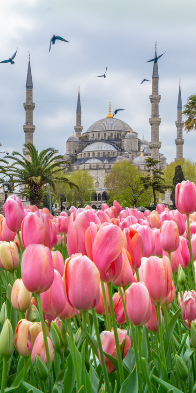 Emirgan'dan Sultanahmet'e rengarenk duraklar!