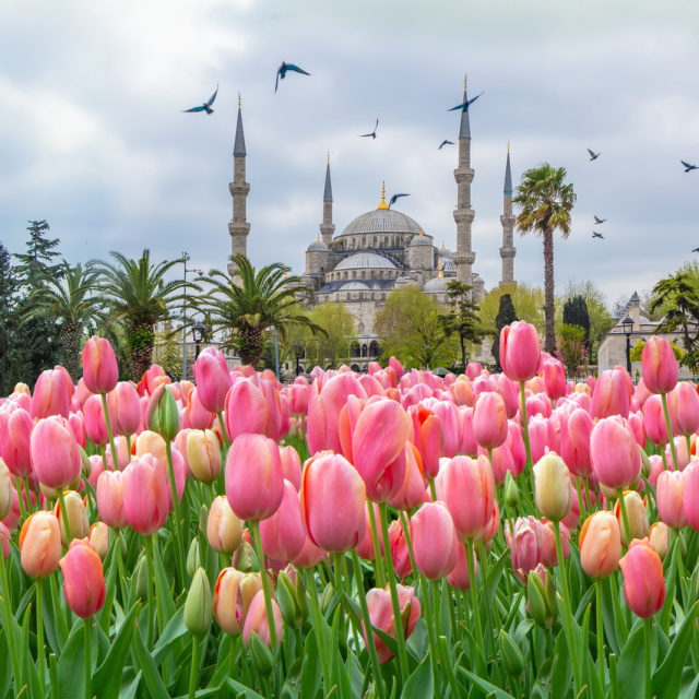 Emirgan'dan Sultanahmet'e rengarenk duraklar!