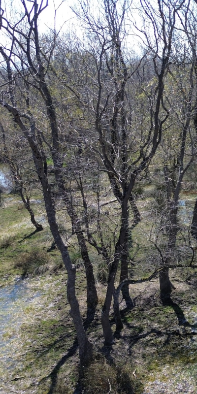 56 bin hektar genişliğinde! Yağışlarla canlandı