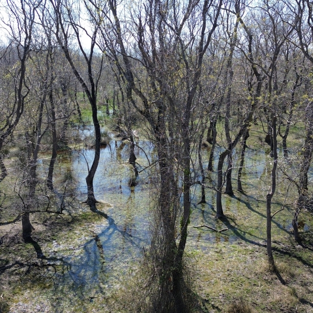 56 bin hektar genişliğinde! Yağışlarla canlandı