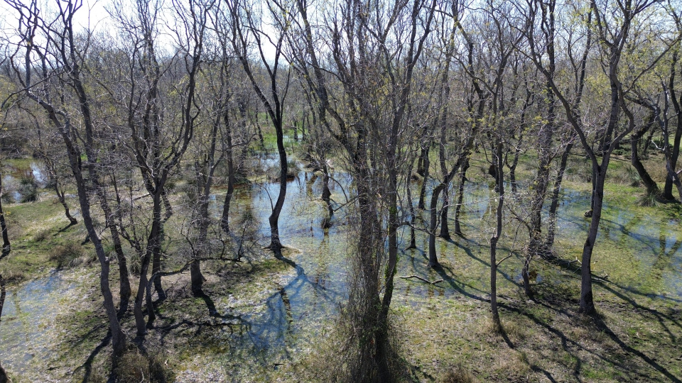 56 bin hektar genişliğinde! Yağışlarla canlandı