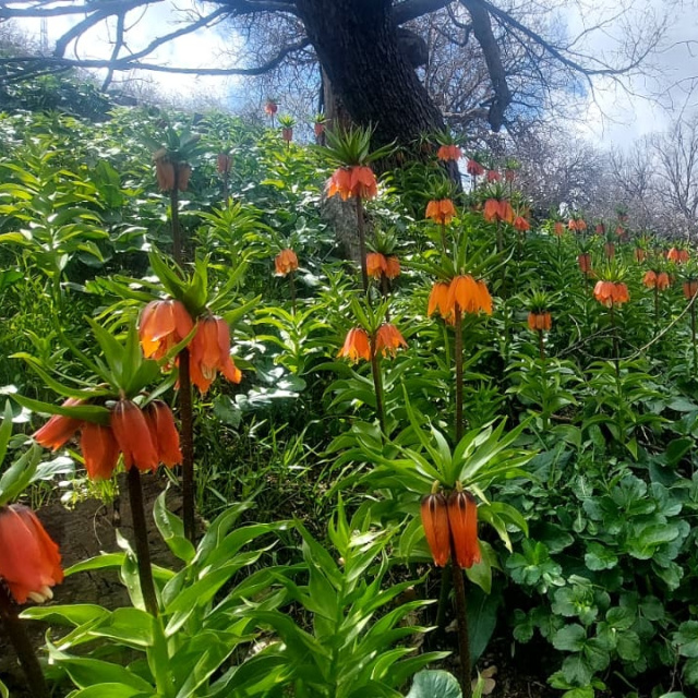 Cezası 700 bin liraya çıktı!