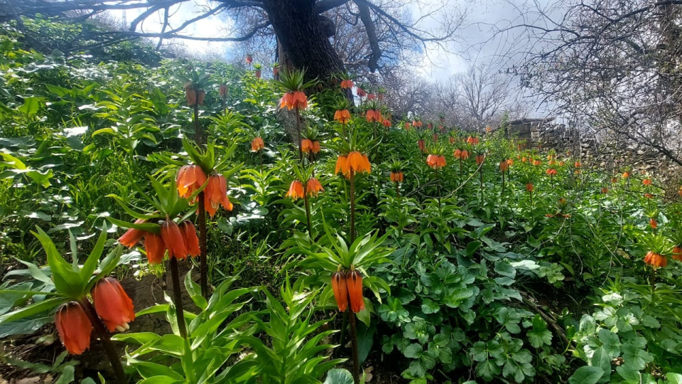 Cezası 700 bin liraya çıktı!