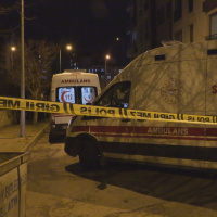 Annesini ve bir ağabeyini öldürüp, diğerini yaraladı