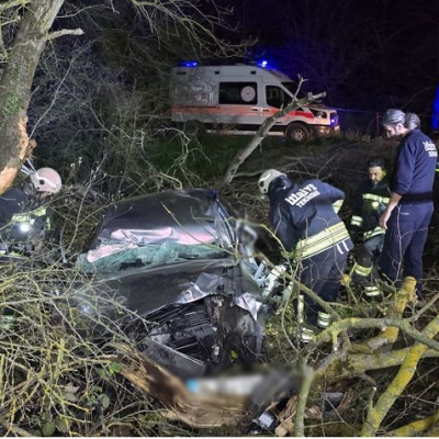 Ormanlık alana devrildi: 1 ölü, 3 yaralı