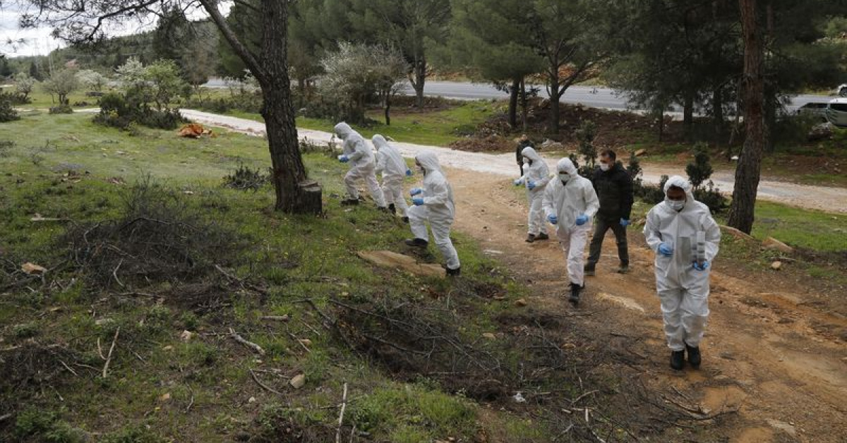 Muğla'da Çam Kese Böceği Mücadelesi - Biyolojik Yöntemler