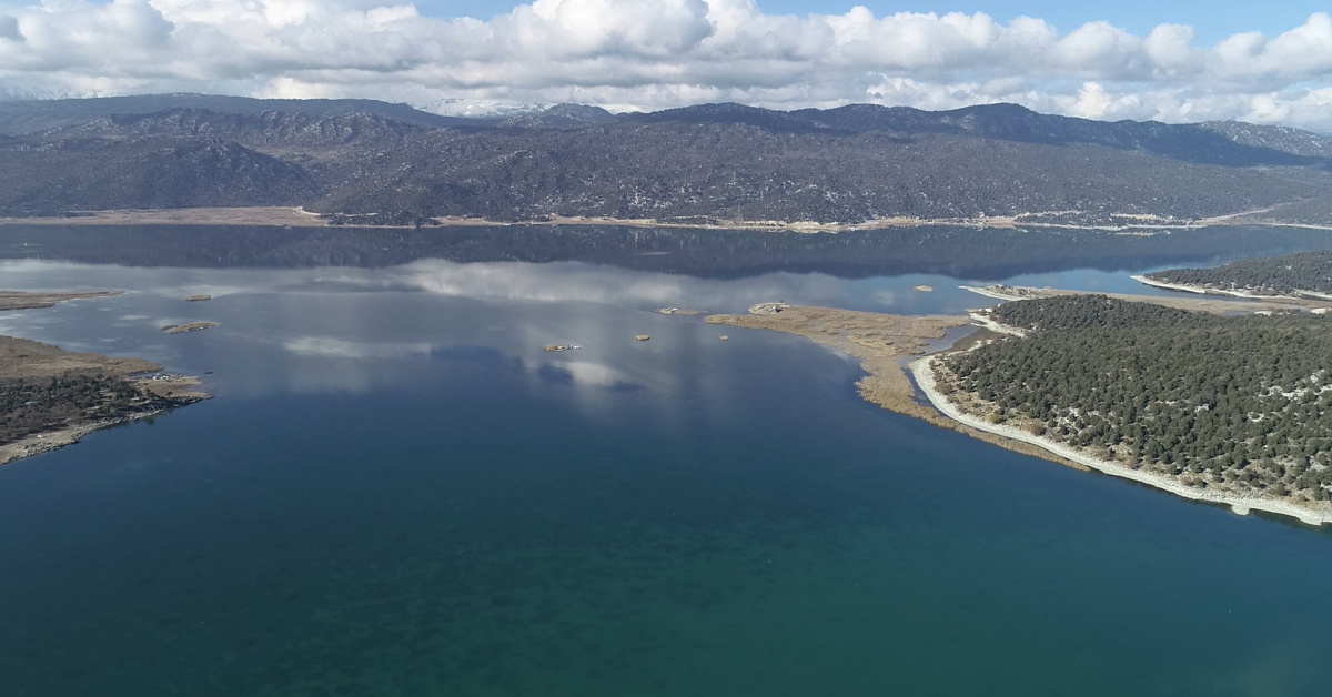 Yapay zekanın sutüketimi artıyor - Gelecekteki olumlu veolumsuz yönleri