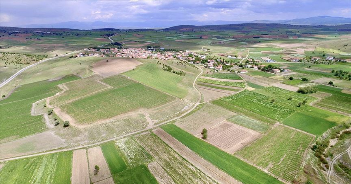 Hobi bahçesi yasası - Kooperatifler vekaçak yapılarla ilgili cezalar