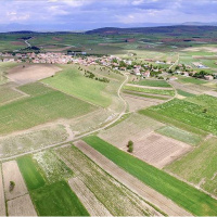 Hobi bahçesi furyasına sert fren