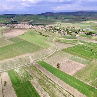 Hobi bahçesi furyasına sert fren