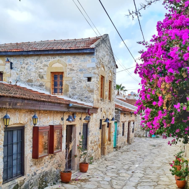 Türkiye'yi temsil edecekler