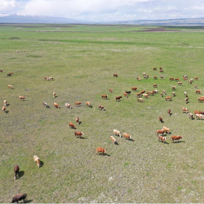 Kars'taki mera kullanımı yasağı iddiaları açıklaması