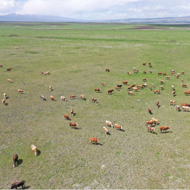 Kars'taki mera kullanımı yasağı iddiaları açıklaması