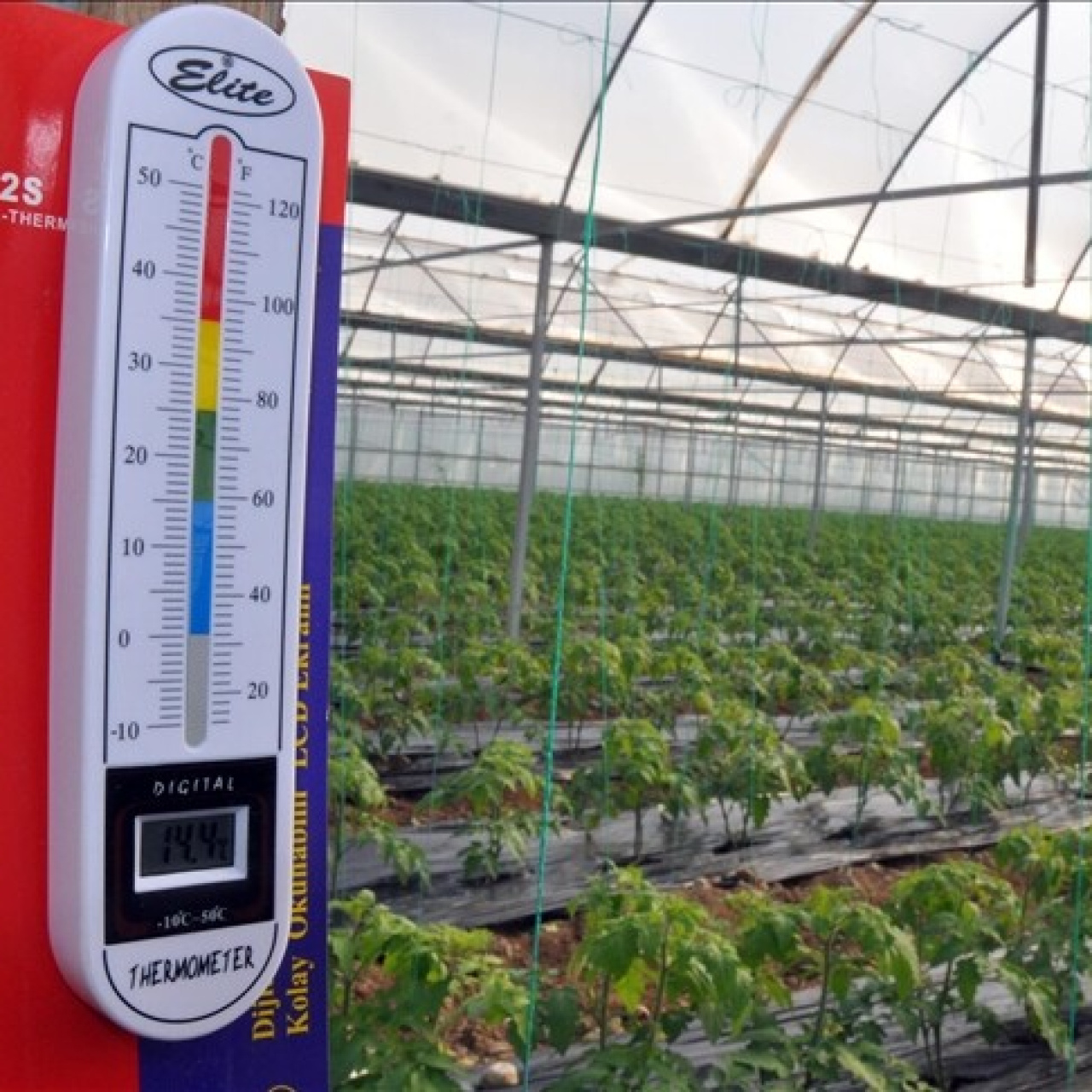 Bakanlık zirai don riskine karşı teyakkuzda