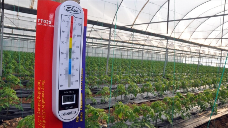 Bakanlık zirai don riskine karşı teyakkuzda