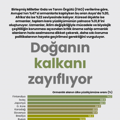 Doğanın kalkanı zayıflıyor