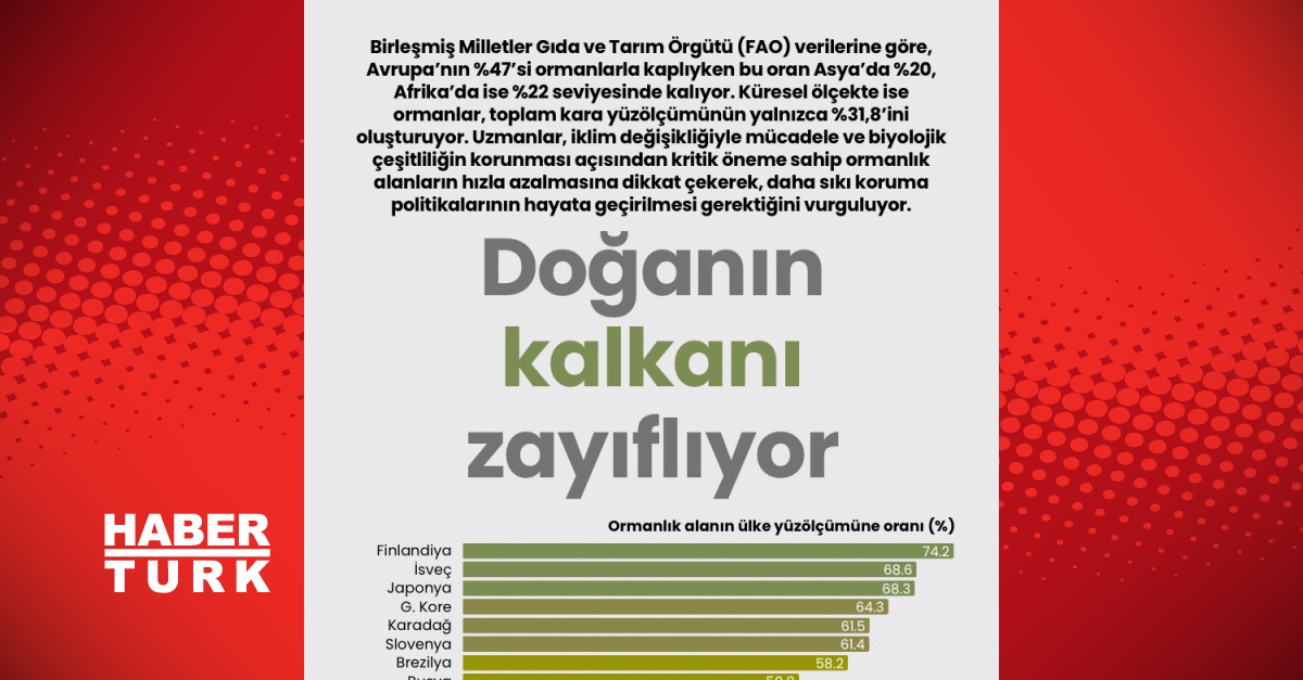 Doğanın kalkanı zayıflıyor - orman azalması alarm veriyor