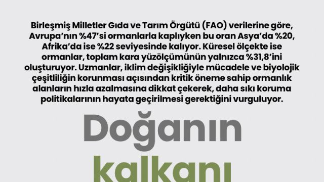Doğanın kalkanı zayıflıyor