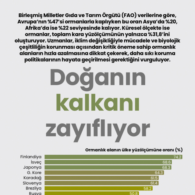Doğanın kalkanı zayıflıyor